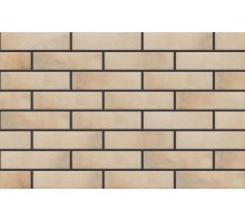 Fasádní Obklad Retro Brick Salt 24,5x6,5